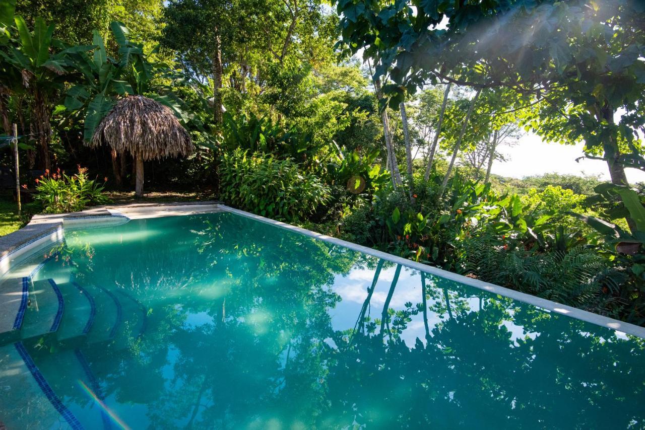 Jungle Lodge At Wild Sun Rescue Center Cabuya  Экстерьер фото